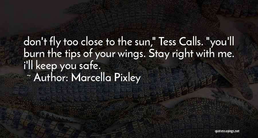 I'll Keep You Safe Quotes By Marcella Pixley