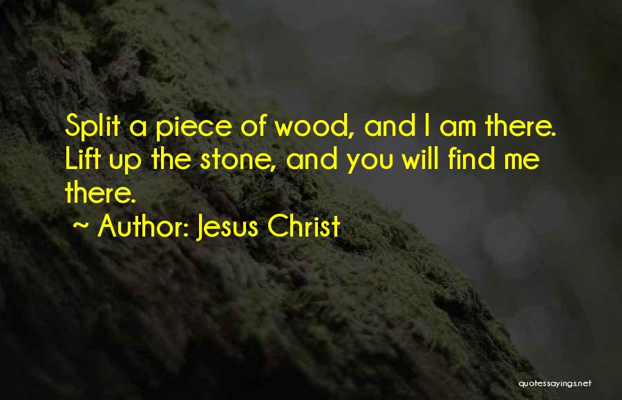 I'll Lift You Up Quotes By Jesus Christ