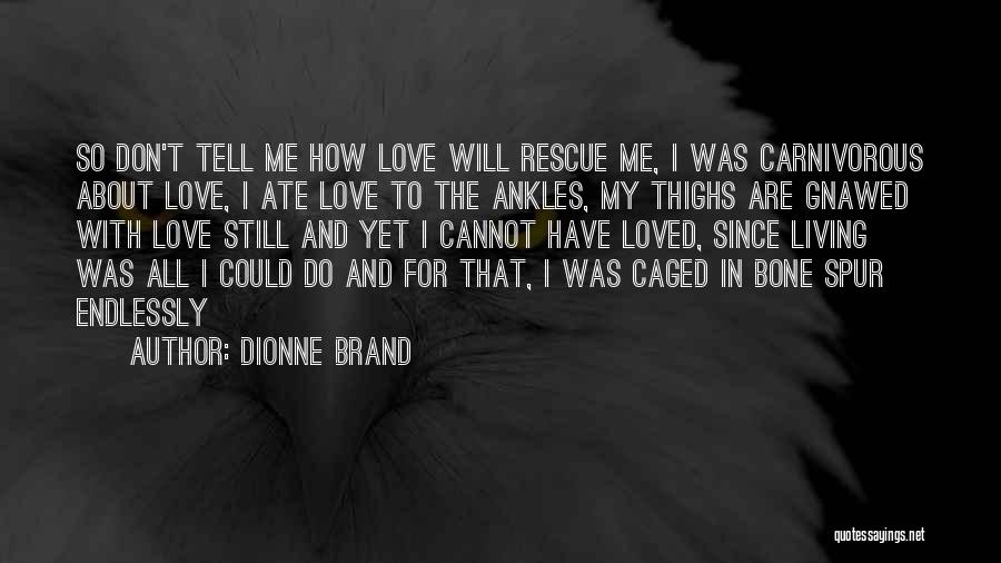 I'll Love You Endlessly Quotes By Dionne Brand