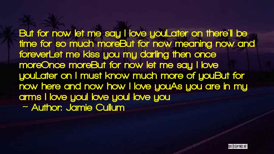 I'll Love You Forever Quotes By Jamie Cullum