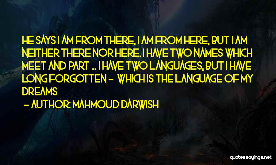 I'll Meet You In My Dreams Quotes By Mahmoud Darwish