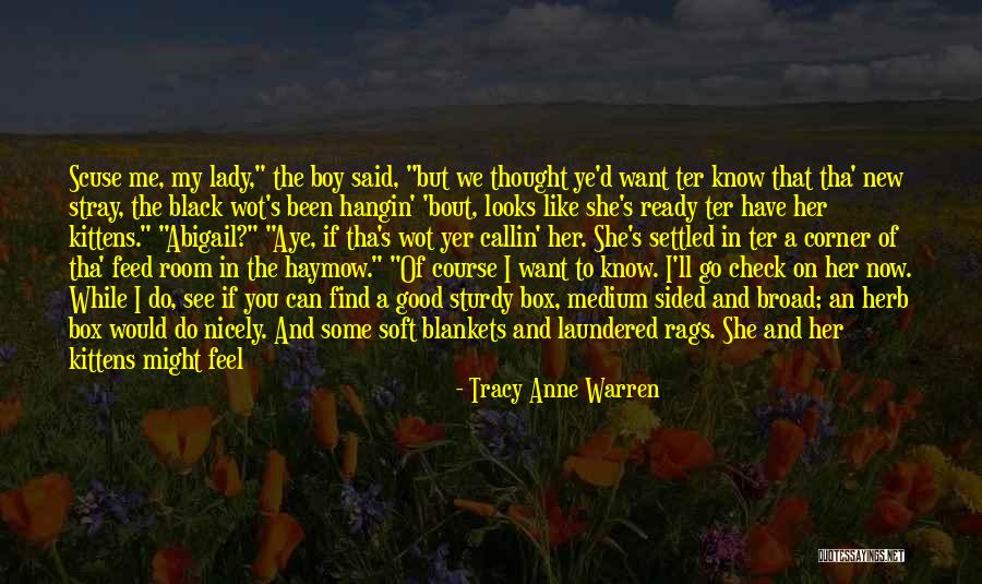 I'll Never Be Like You Quotes By Tracy Anne Warren