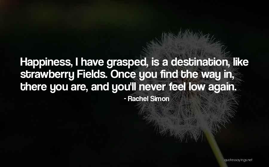 I'll Never Find Someone Like You Quotes By Rachel Simon I'll Never Find Someone Like You Quotes By Rachel Simon