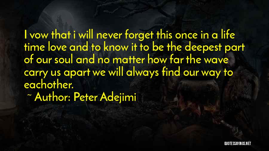 I'll Never Forget Our Love Quotes By Peter Adejimi