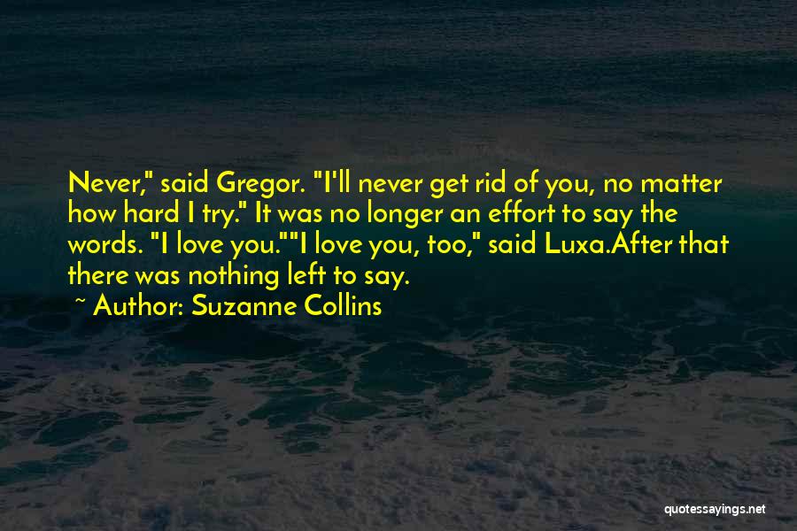 I'll Never Forget Our Love Quotes By Suzanne Collins