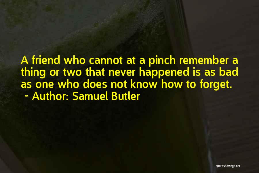 I'll Never Forget You Friend Quotes By Samuel Butler