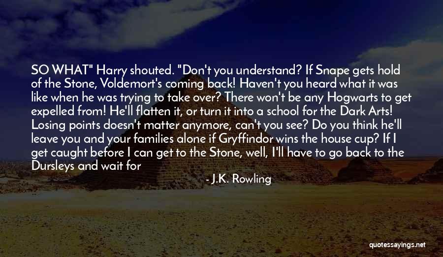 I'll Never Get You Back Quotes By J.K. Rowling I'll Never Get You Back Quotes By J.K. Rowling