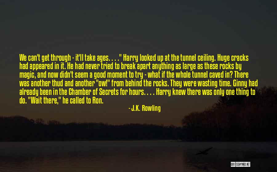 I'll Never Get You Back Quotes By J.K. Rowling I'll Never Get You Back Quotes By J.K. Rowling
