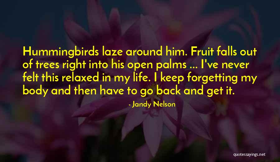 I'll Never Get You Back Quotes By Jandy Nelson I'll Never Get You Back Quotes By Jandy Nelson