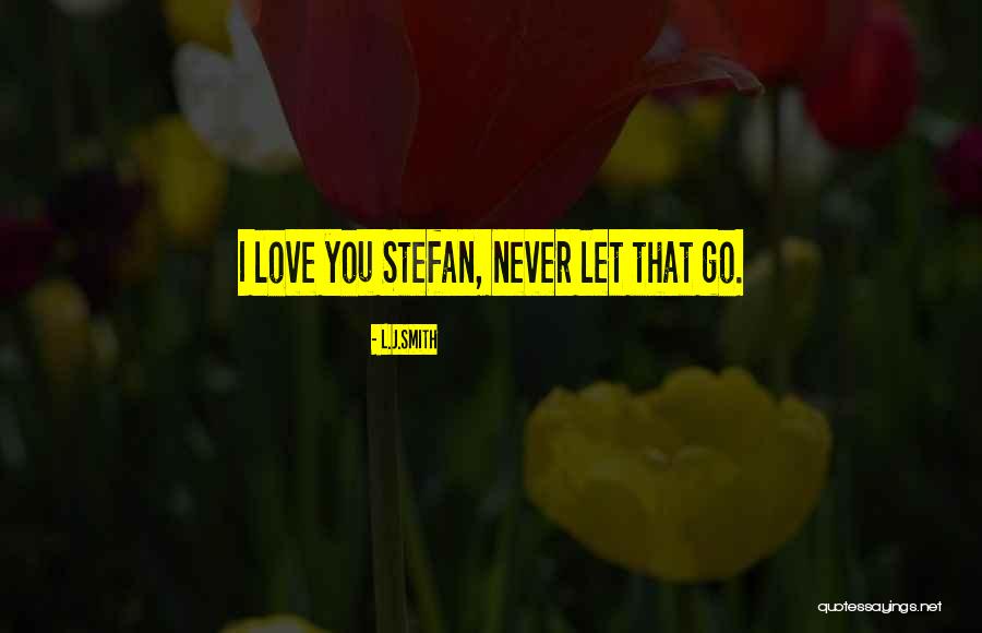 I'll Never Let You Go Love Quotes By L.J.Smith