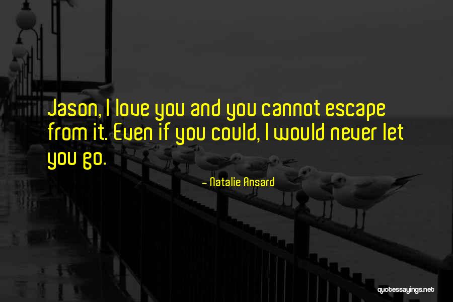 I'll Never Let You Go Love Quotes By Natalie Ansard