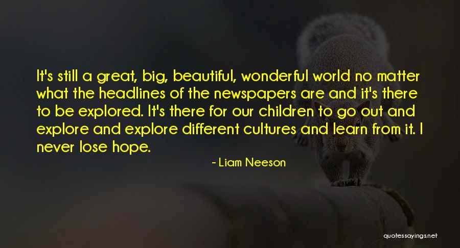 I'll Never Lose Hope Quotes By Liam Neeson I'll Never Lose Hope Quotes By Liam Neeson