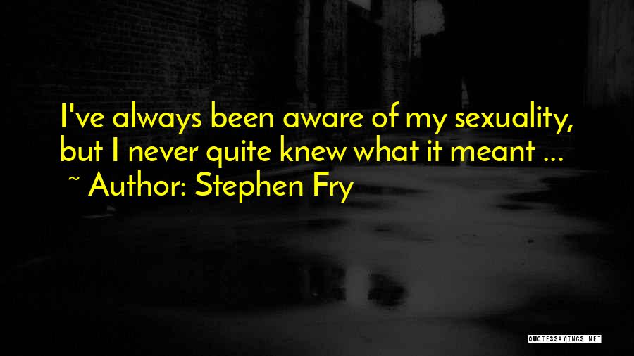 I'll Never Quit Quotes By Stephen Fry