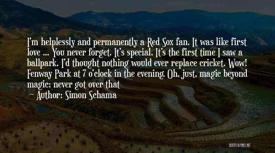 I'll Never Replace You Quotes By Simon Schama