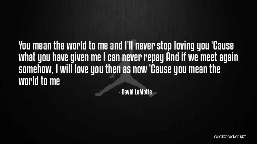 I'll Never Stop Loving You Quotes By David LaMotte