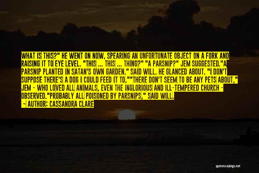 Ill Pets Quotes By Cassandra Clare