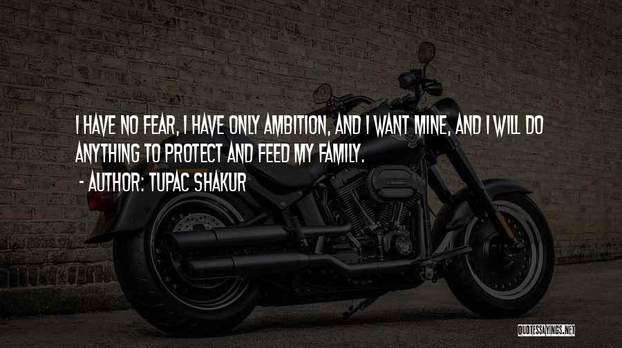 I'll Protect My Family Quotes By Tupac Shakur