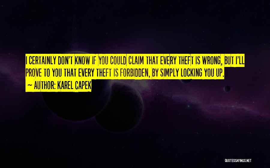 I'll Prove You Wrong Quotes By Karel Capek