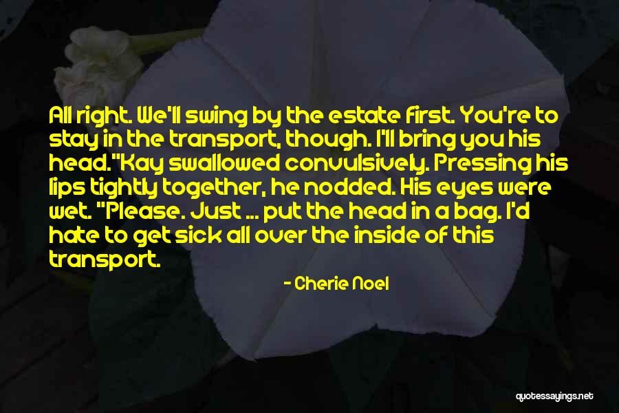 I'll Put You First Quotes By Cherie Noel