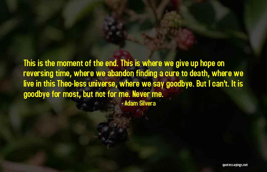 I'll Say Goodbye Quotes By Adam Silvera I'll Say Goodbye Quotes By Adam Silvera