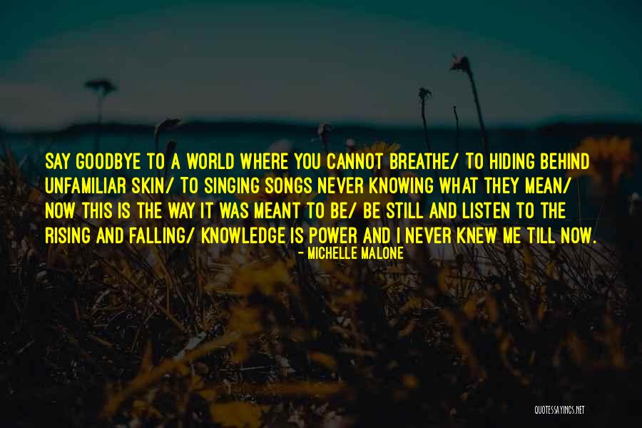 I'll Say Goodbye Quotes By Michelle Malone I'll Say Goodbye Quotes By Michelle Malone
