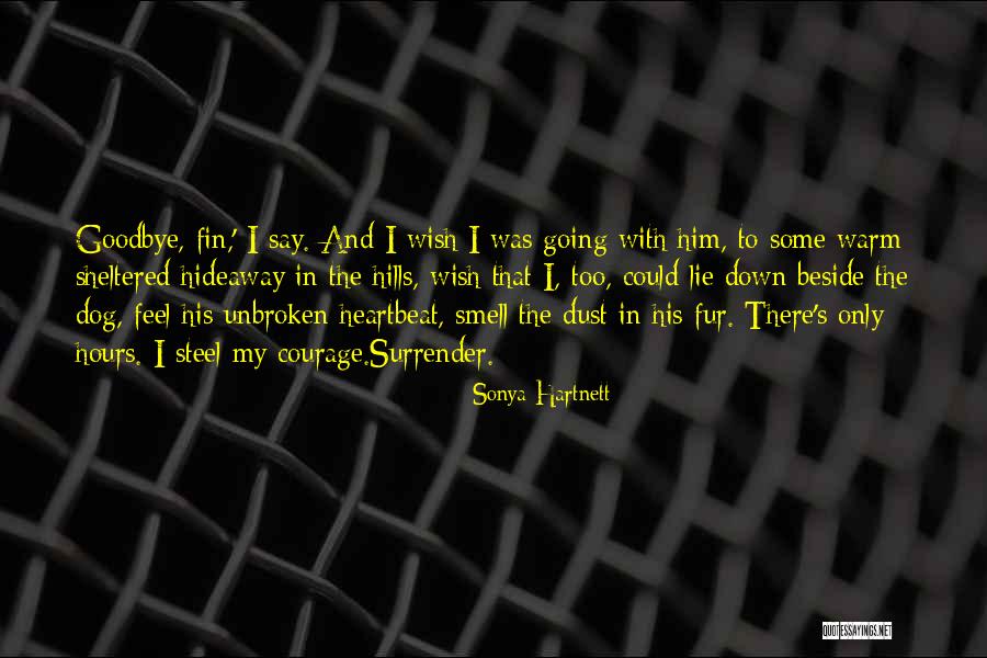 I'll Say Goodbye Quotes By Sonya Hartnett I'll Say Goodbye Quotes By Sonya Hartnett