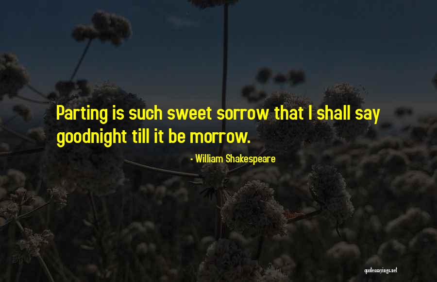 I'll Say Goodbye Quotes By William Shakespeare I'll Say Goodbye Quotes By William Shakespeare