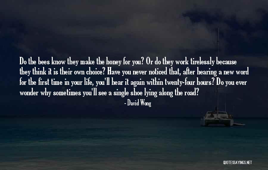 I'll See You Again Someday Quotes By David Wong I'll See You Again Someday Quotes By David Wong