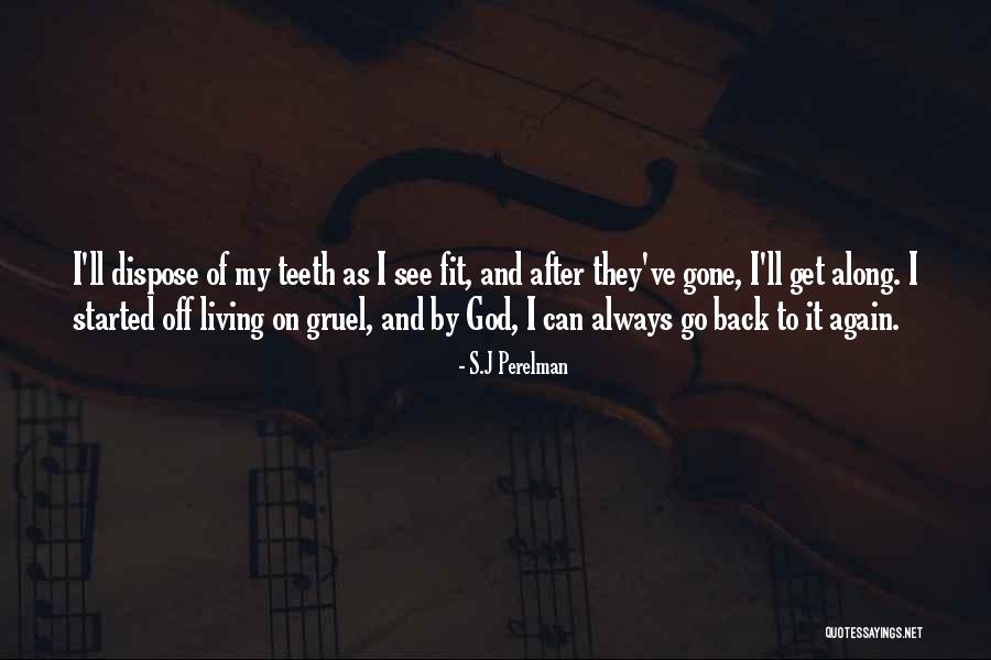 I'll See You Again Someday Quotes By S.J Perelman I'll See You Again Someday Quotes By S.J Perelman