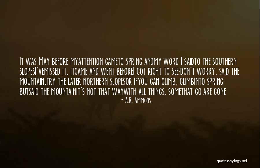 I'll See You Later Quotes By A.R. Ammons I'll See You Later Quotes By A.R. Ammons