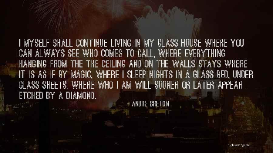 I'll See You Later Quotes By Andre Breton I'll See You Later Quotes By Andre Breton