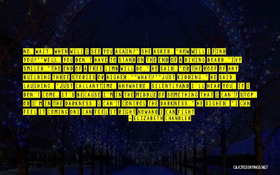I'll See You Later Quotes By Elizabeth Chandler I'll See You Later Quotes By Elizabeth Chandler