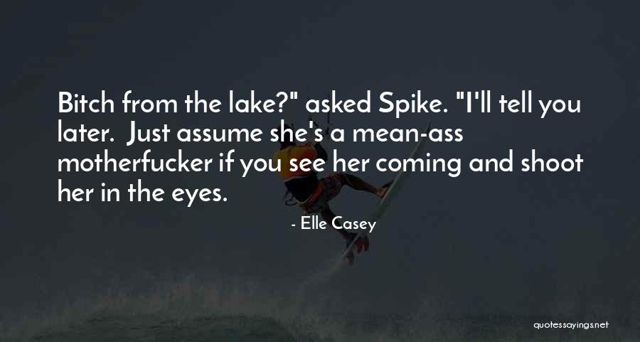 I'll See You Later Quotes By Elle Casey I'll See You Later Quotes By Elle Casey