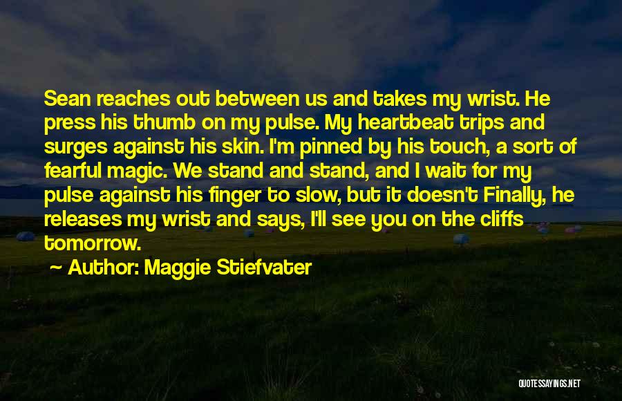 I'll Stand By You Quotes By Maggie Stiefvater