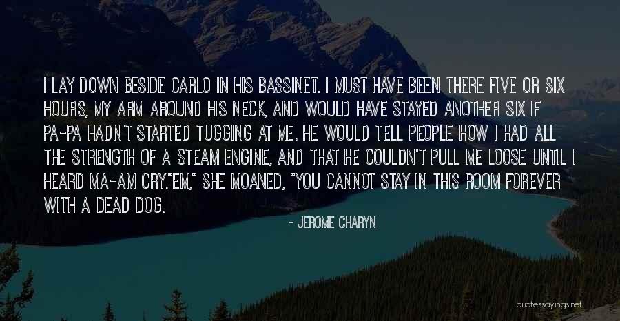 I'll Stay Beside You Quotes By Jerome Charyn I'll Stay Beside You Quotes By Jerome Charyn
