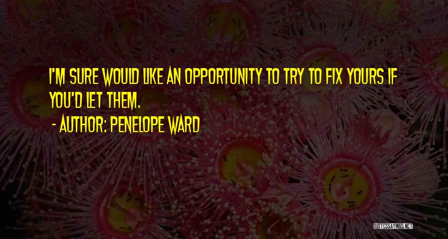 I'll Try To Fix You Quotes By Penelope Ward