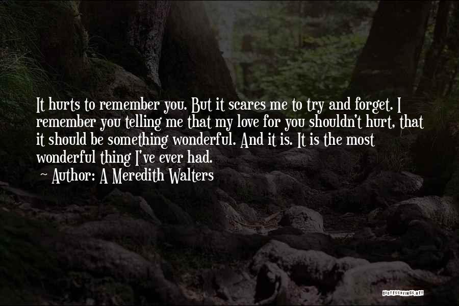 I'll Try To Forget You Quotes By A Meredith Walters