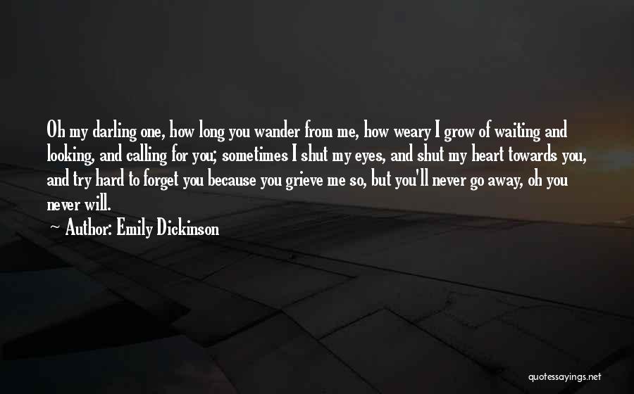 I'll Try To Forget You Quotes By Emily Dickinson