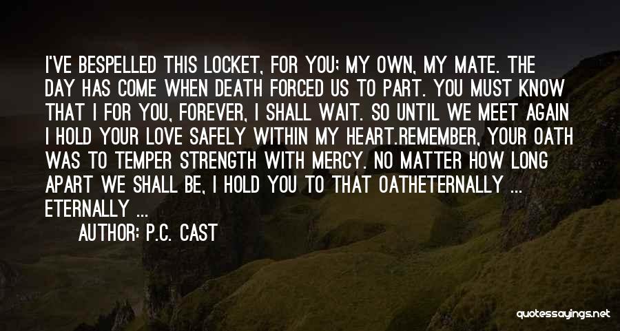 I'll Wait For You Forever Quotes By P.C. Cast