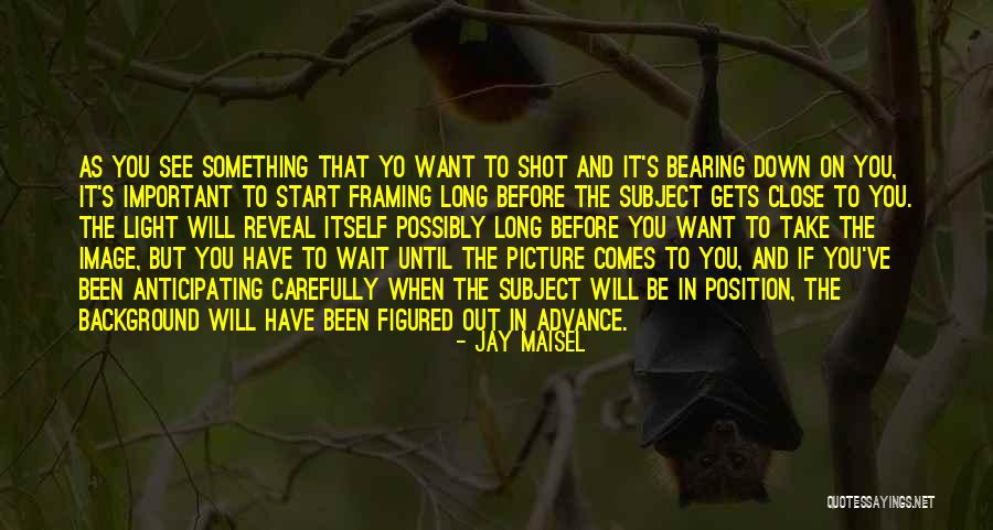 I'll Wait For You Picture Quotes By Jay Maisel