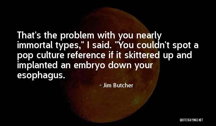 Illegals At The Border Quotes By Jim Butcher Illegals At The Border Quotes By Jim Butcher