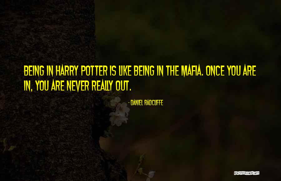 Illica Ceramic Field Quotes By Daniel Radcliffe Illica Ceramic Field Quotes By Daniel Radcliffe