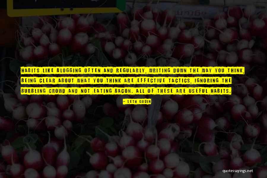 Illillnois Quotes By Seth Godin Illillnois Quotes By Seth Godin