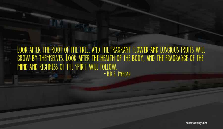 Illiteracy Nelson Mandela Quotes By B.K.S. Iyengar Illiteracy Nelson Mandela Quotes By B.K.S. Iyengar