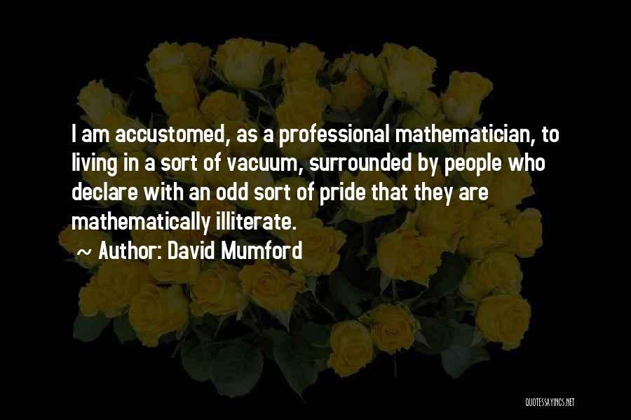 Illiterate Quotes By David Mumford