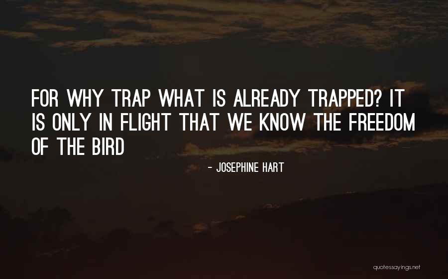 Illmatic Rapper Quotes By Josephine Hart Illmatic Rapper Quotes By Josephine Hart