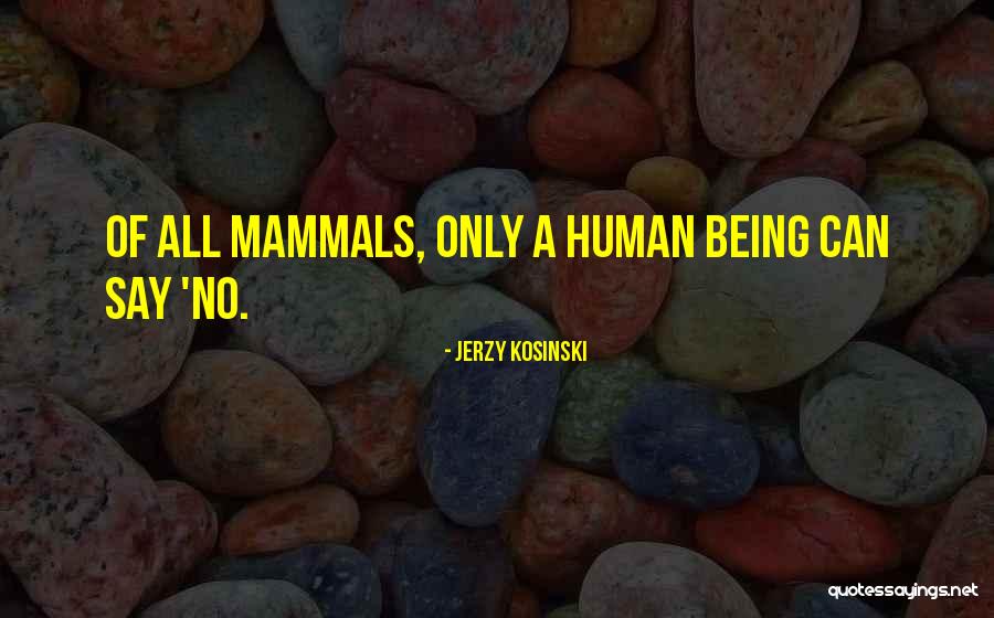 Illude Quotes By Jerzy Kosinski Illude Quotes By Jerzy Kosinski