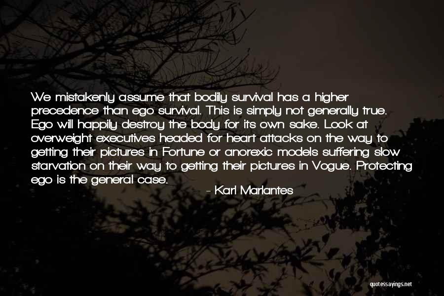 Illuding Quotes By Karl Marlantes Illuding Quotes By Karl Marlantes