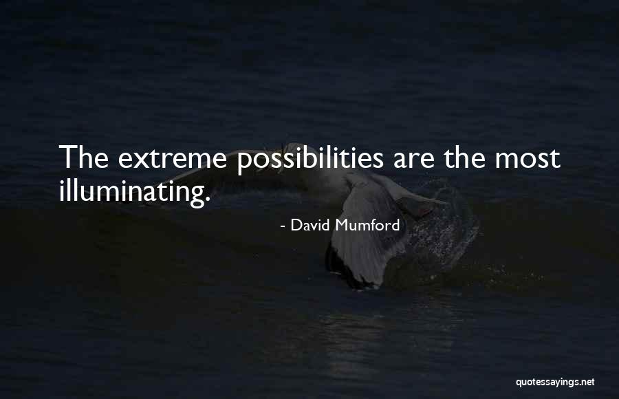 Illuminating Quotes By David Mumford