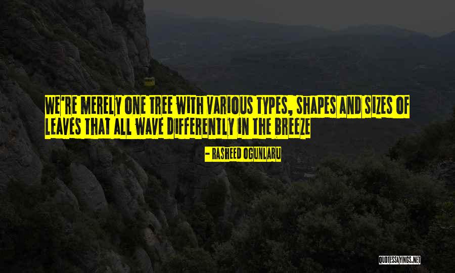 Illumination Quotes Quotes By Rasheed Ogunlaru Illumination Quotes Quotes By Rasheed Ogunlaru
